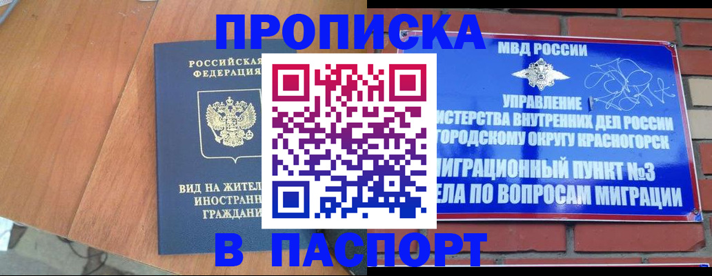 найти адрес прописки в Шилке